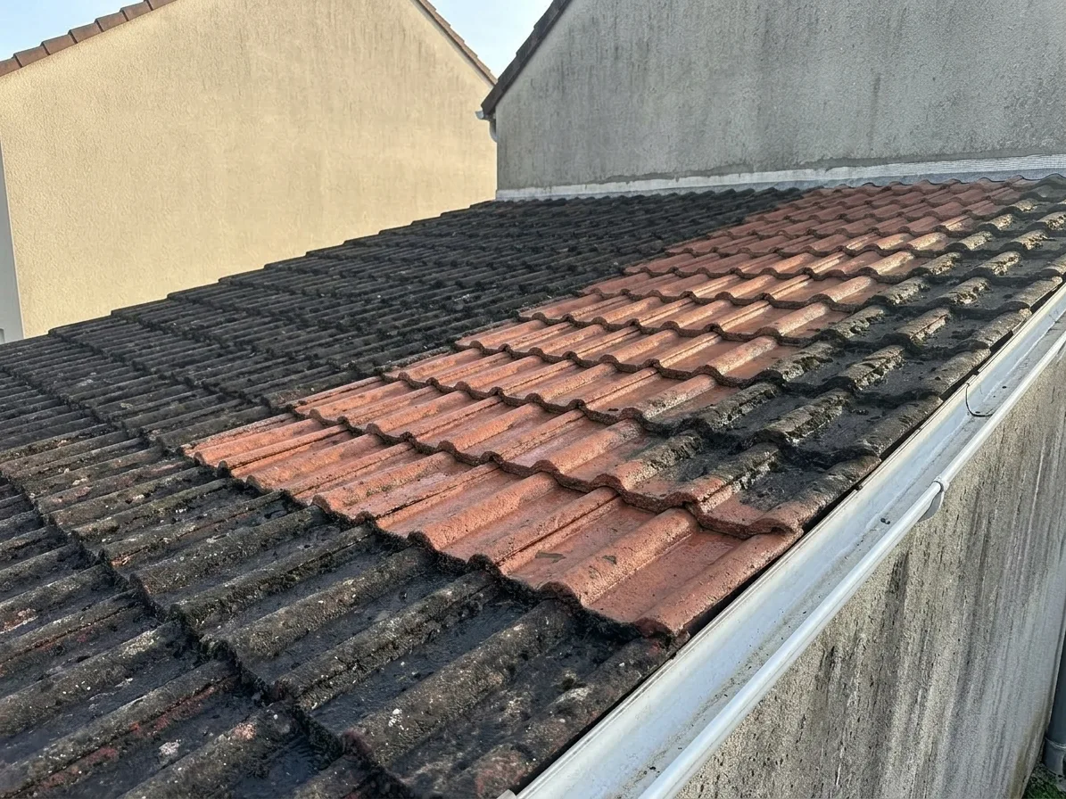 Démoussage de toiture à Lagny-sur-Marne Démoussage de toiture à Lagny-sur-Marne